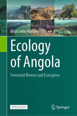 bokomslag Ecology of Angola