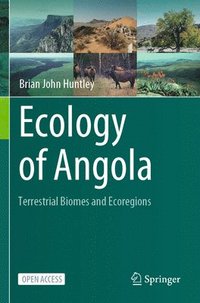 bokomslag Ecology of Angola