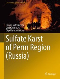 bokomslag Sulfate Karst of Perm Region (Russia)