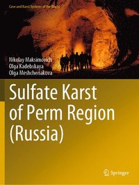 bokomslag Sulfate Karst of Perm Region (Russia)