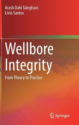 bokomslag Wellbore Integrity