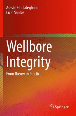 bokomslag Wellbore Integrity