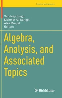 bokomslag Algebra, Analysis, and Associated Topics