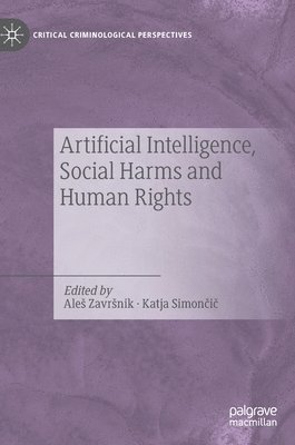 Artificial Intelligence, Social Harms and Human Rights 1