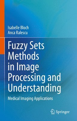 bokomslag Fuzzy Sets Methods in Image Processing and Understanding