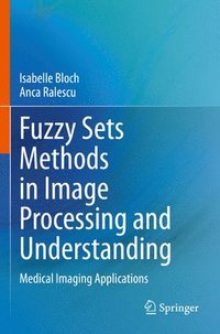 bokomslag Fuzzy Sets Methods in Image Processing and Understanding