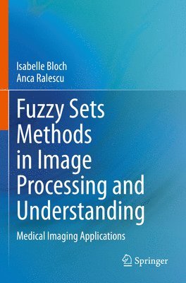 bokomslag Fuzzy Sets Methods in Image Processing and Understanding