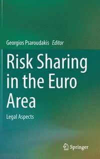 bokomslag Risk Sharing in the Euro Area