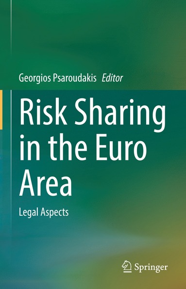 bokomslag Risk Sharing in the Euro Area