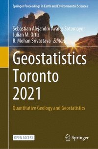 bokomslag Geostatistics Toronto 2021