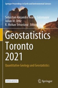 bokomslag Geostatistics Toronto 2021