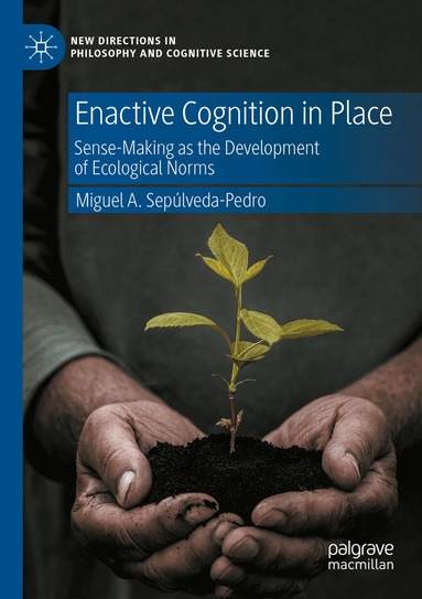 Miguel A. Sepúlveda-Pedro - Enactive Cognition in Place, Häftad