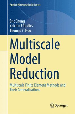 Multiscale Model Reduction 1
