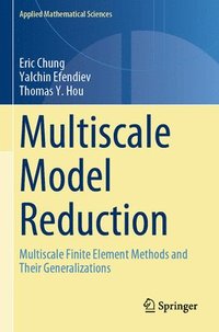 bokomslag Multiscale Model Reduction