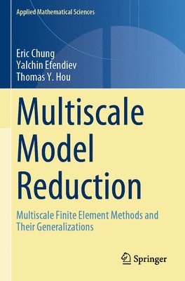 Multiscale Model Reduction 1