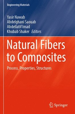 bokomslag Natural Fibers to Composites