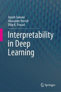 bokomslag Interpretability in Deep Learning