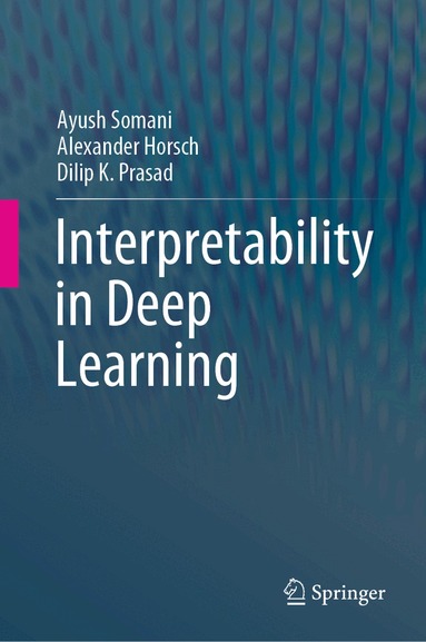 Ayush Somani, Alexander Horsch, Dilip K. Prasad - Interpretability in Deep Learning, Inbunden