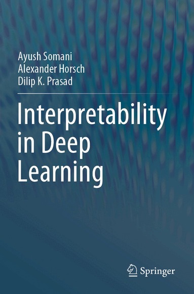 Ayush Somani, Alexander Horsch, Dilip K. Prasad - Interpretability in Deep Learning, Häftad