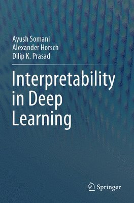 bokomslag Interpretability in Deep Learning