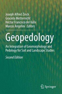Geopedology