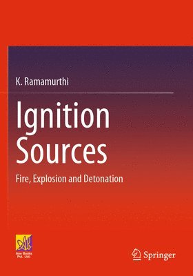 bokomslag Ignition Sources