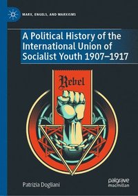 bokomslag A Political History of the International Union of Socialist Youth 19071917