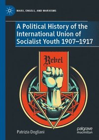 bokomslag A Political History of the International Union of Socialist Youth 19071917