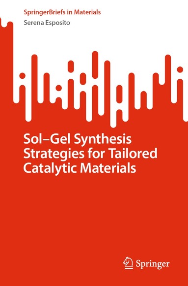 Serena Esposito - Sol-Gel Synthesis Strategies for Tailored Catalytic Materials, Häftad