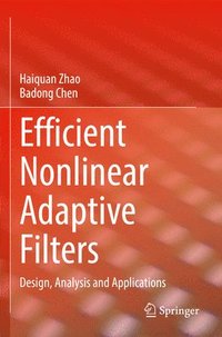 bokomslag Efficient Nonlinear Adaptive Filters