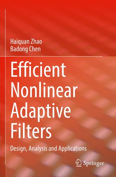 Haiquan Zhao, Badong Chen - Efficient Nonlinear Adaptive Filters, Häftad