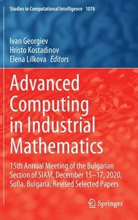 bokomslag Advanced Computing in Industrial Mathematics