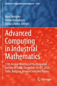 bokomslag Advanced Computing in Industrial Mathematics