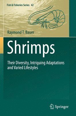 Shrimps 1