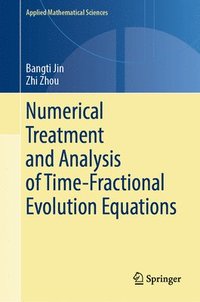 bokomslag Numerical Treatment and Analysis of Time-Fractional Evolution Equations