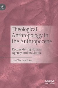 bokomslag Theological Anthropology in the Anthropocene