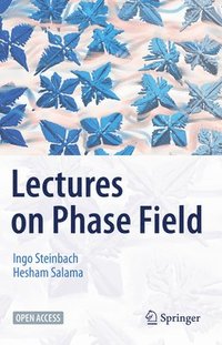 bokomslag Lectures on Phase Field
