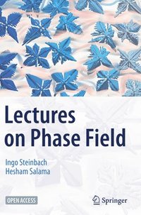 bokomslag Lectures on Phase Field