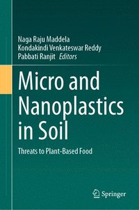 bokomslag Micro and Nanoplastics in Soil