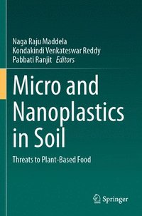 bokomslag Micro and Nanoplastics in Soil