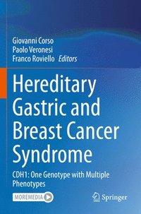 bokomslag Hereditary Gastric and Breast Cancer Syndrome