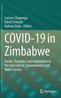 bokomslag COVID-19 in Zimbabwe