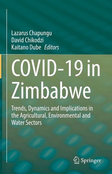 Lazarus Chapungu, David Chikodzi, Kaitano Dube - COVID-19 in Zimbabwe, Inbunden