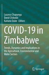 bokomslag COVID-19 in Zimbabwe