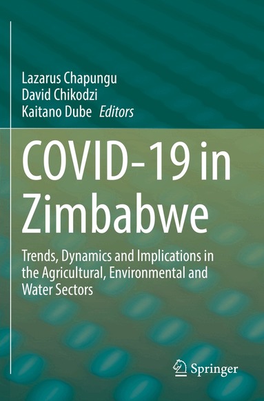 Lazarus Chapungu, David Chikodzi, Kaitano Dube - COVID-19 in Zimbabwe, Häftad