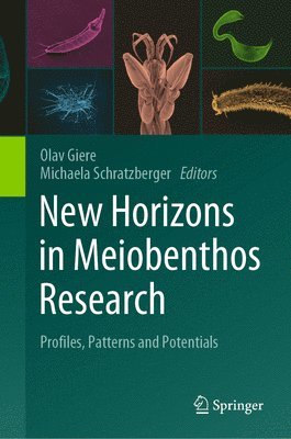 bokomslag New Horizons in Meiobenthos Research