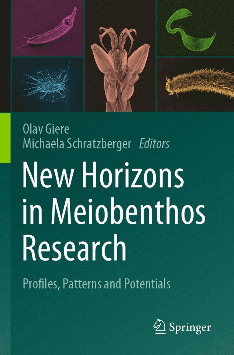 Olav Giere, Michaela Schratzberger - New Horizons in Meiobenthos Research, Häftad