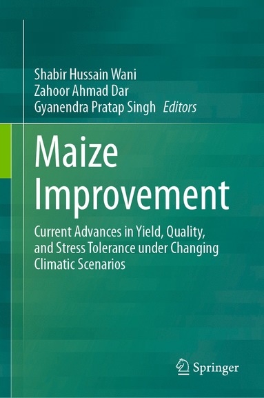 bokomslag Maize Improvement