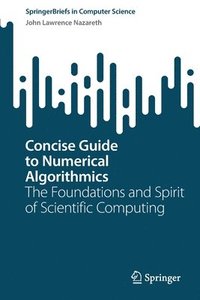 bokomslag Concise Guide to Numerical Algorithmics