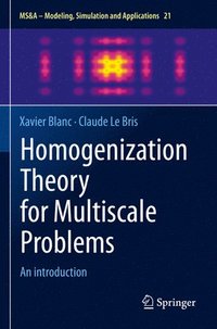 bokomslag Homogenization Theory for Multiscale Problems